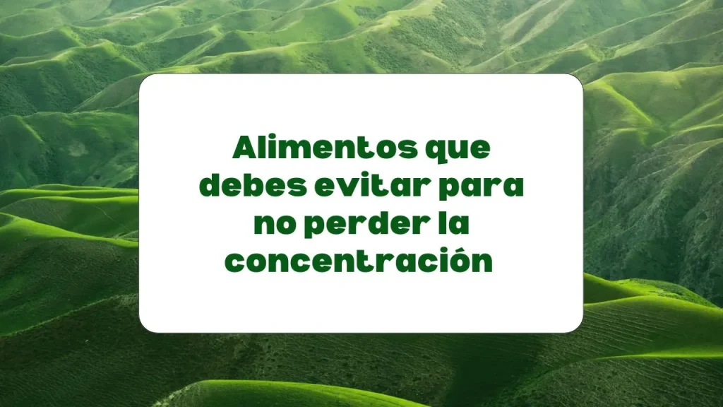 alimentos a evitar para no perder la concentración
