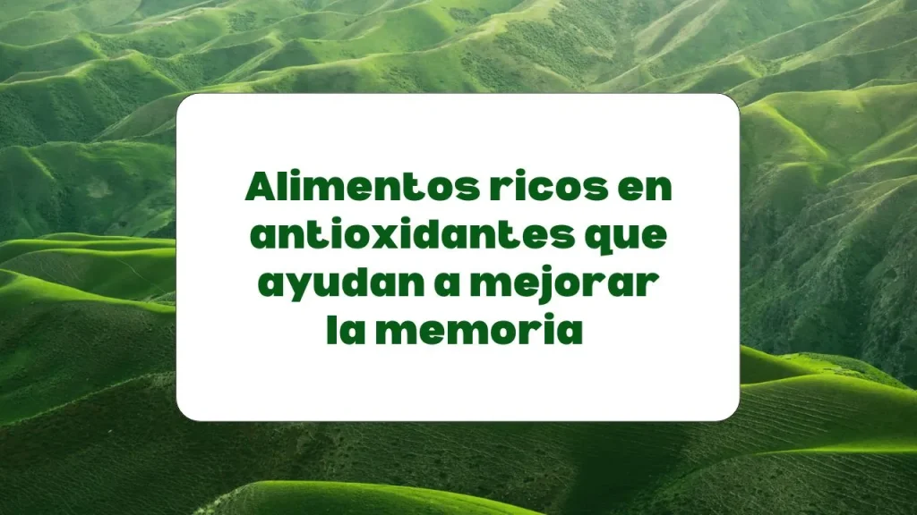 alimentos antioxidantes para mejorar la concentración