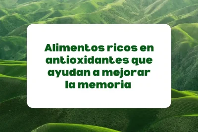 alimentos antioxidantes para mejorar la concentración