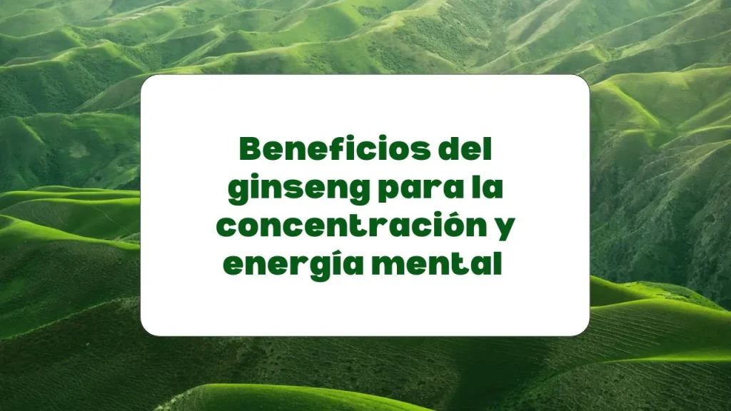 El ginseng para mejorar la concentración y la energía mental