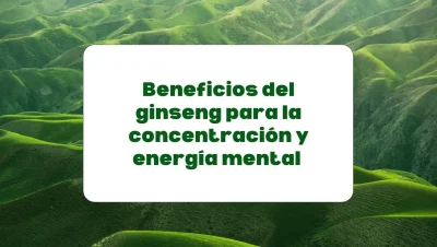 El ginseng para mejorar la concentración y la energía mental