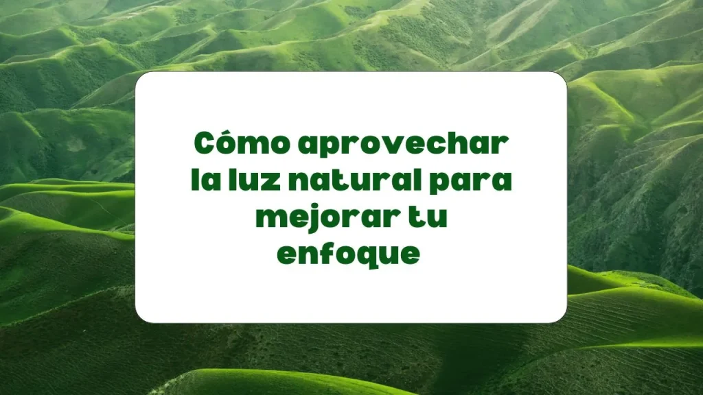 Cómo aprovechar la luz natural para mejorar el enfoque