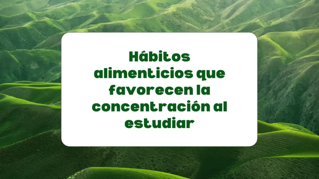 hábitos alimenticios para mejorar la concentración