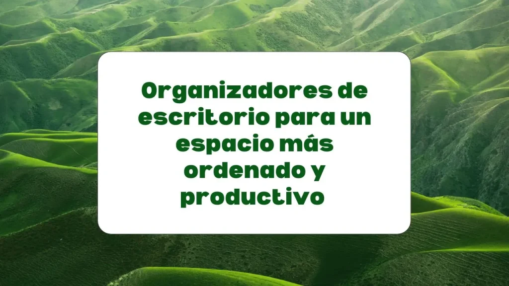 Organizadores de escritorio para mejorar la productividad