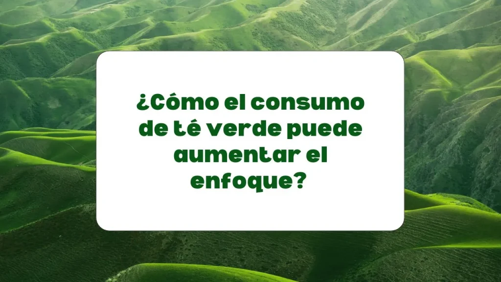 té verde para aumentar el enfoque