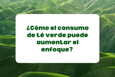 té verde para aumentar el enfoque