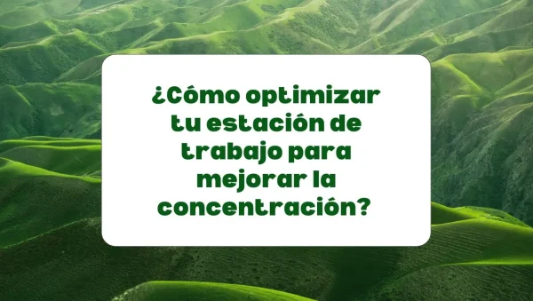 Cómo optimizar la estación de trabajo para mejorar la concentración