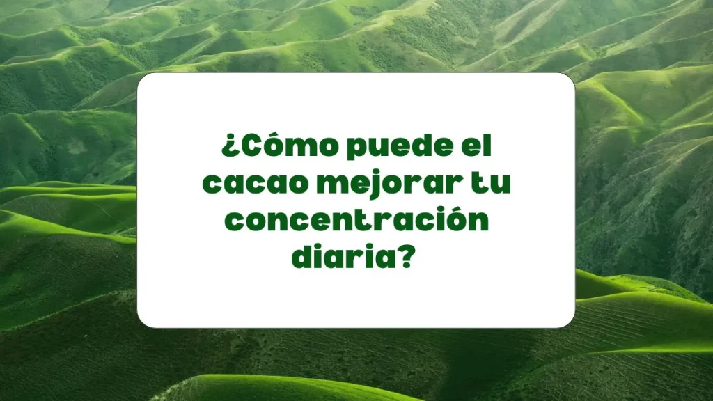 Usa el cacao para mejorar la concentración