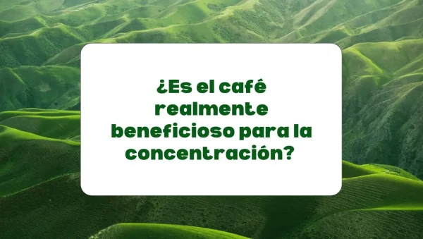 Los beneficios del café para la concentración