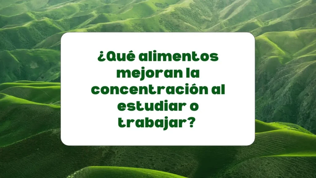 Alimentos para mejorar la concentración