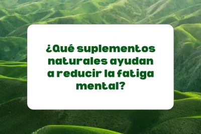 suplementos para reducir la fatiga mental