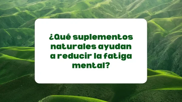 suplementos para reducir la fatiga mental